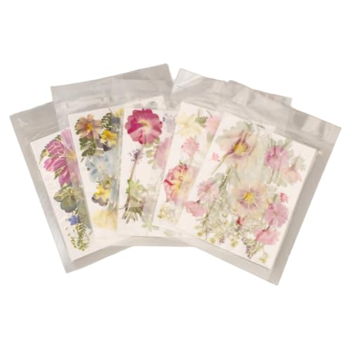 Kit Flores Presionadas 5 Bolsas Variadas para Manualidades miniatura 2