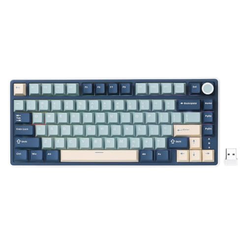 Image of RK R75 Gaming Keyboard Wireless Mechanical Keyboard with RGB Backlit, PBT Keycaps for Mac Windows Linux - Wireless Blue, Cream Switch