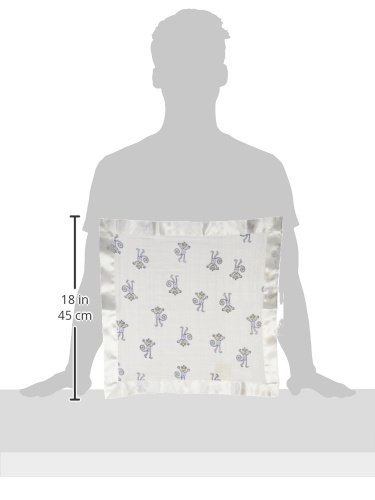 aden + anais secruity blanket, jungle jam- monkey