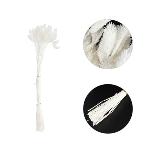 Bouquet de Flores Secas Blanco 50pcs Decoración Floral miniatura 6