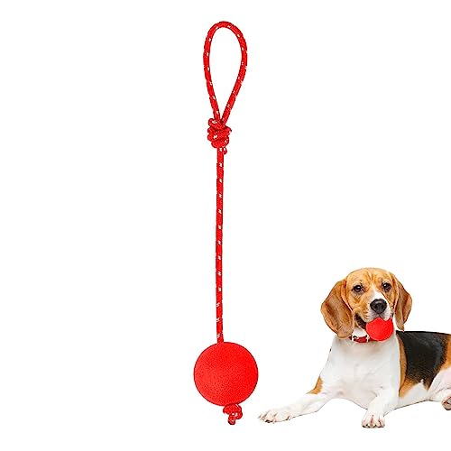 KONG Ball Mit Seil - Apportierspielzeug Für Kleine Hunde In Rot