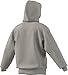 adidas mens All Szn Fleece Hoodie Wonder Alumina,Large