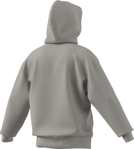 Image of adidas mens All Szn Fleece Loose Hoodie