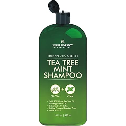 First Botany, Tea Tree Oil Shampoo 16 fl oz - Anti Dandruff Shampoo Natural Oil cleanser For Dry Itchy & Flaky Scalp - Sulfate Free Paraben Free Cleanser - Prevents Head Lice & Thinning Cover
