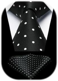 HISDERN Dot Ties for Men Wedding Tie Handkerchief Formal Business Necktie & Pocket Square Set