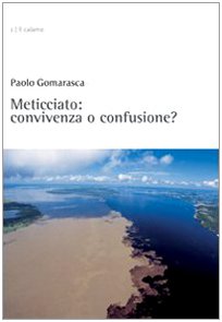  Meticciato: convivenza o confusione?