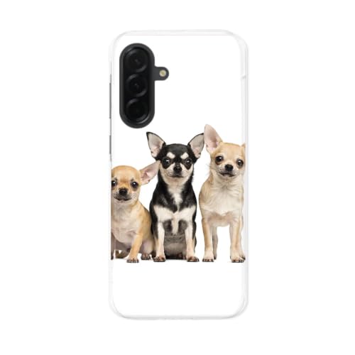 Galaxy S26 �p �P�[�X SC-51G / SCG36 �Ή� �p �n�[�h�P�[�X �X�}�z�P�[�X ���^ �y�� �� ���� �ʐ^ 002885