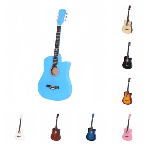 Zekono AR[XeBbNM^[ S w lp  ARM Zbg 38C` K wAqAl̏w pAA`[i[ (38C`IWiTEh XJCu[ Rv[gZbg)