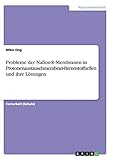  Probleme der Nafion®-Membranen in Protonenaustauschmembran-Brennstoffzellen und ihre Lösungen