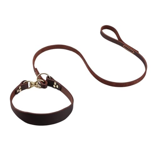Laisse sighthound contre les tractions réglage rapide corde P-slip - 2
