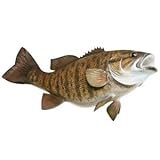 Smallmouth Bass Fish Decal Sticker (Left)