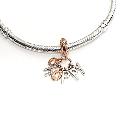 Abalorio de plata de ley 925 compatible con collares y pulseras de moda 5