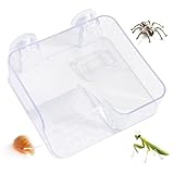 Rampe à hauteur réglable : présente une conception réglable en hauteur permettant aux tortues et autres reptiles de grimper et de se prélasser facilement à différents niveaux, offrant un placement flexible à l'intérieur des réservoirs ou des terrariums tout en accueillant des animaux de différentes tailles et en favorisant un exercice sain et un comportement naturel