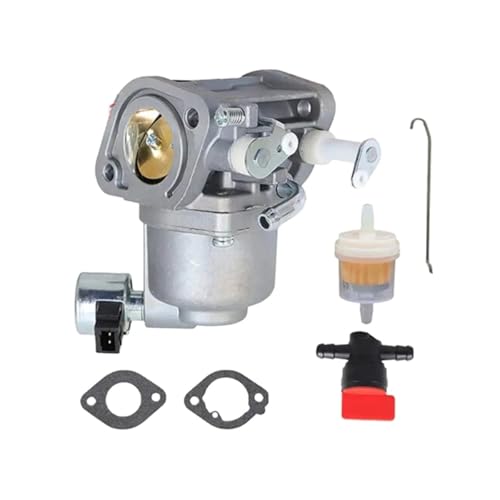 Carburateur pour BS Intek 594207 avec son jeu de joints complet - 3