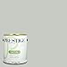Sherwin Williams Silver Strand Paint
