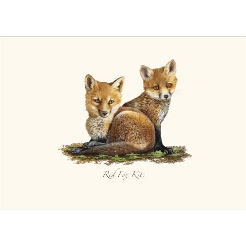 Image of Earth Sky + Water - Red Fox Kits Notecard Set - 8 Blank Cards with Envelopes