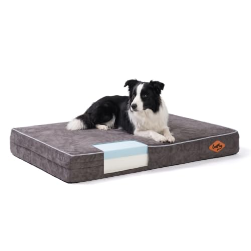 Image of Laifug Orthopedic Memory Foam Pet(40 inchx 25 inchx 4 inch,Slate Grey) /Dog Bed with Durable Waterproof Liner and Removable Washable Cover