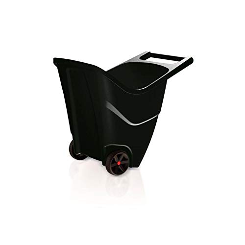 Prosperplast Zanvic Load & Go II Carretilla Multiuso para Jardín, 98X60 cm