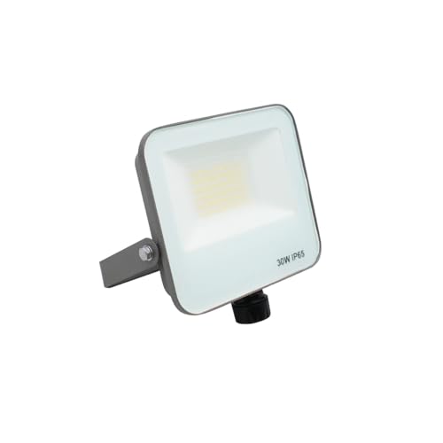 Faro Proiettore A Led 220V 30W Ip65 Da Esterno Luce Switch 3000K-4200K-6400K