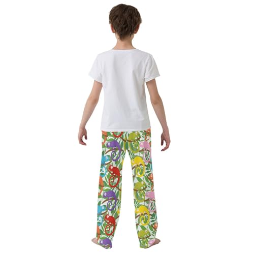 Colorful Chameleon Boys Long Pants Soft Trousers Elastic Waist Kids Lounge Bottoms with Pockets S-XL3
