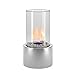 Regal Flame Eden Ventless Tabletop Portable Bio Ethanol Fireplace in Stainless Steel