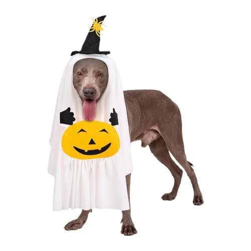 pnEBRX`[Aڂ|PbgtzCgS[XgRX`[ALpS[XgRXvAnEBRXvp[eB[p̂킢ybg