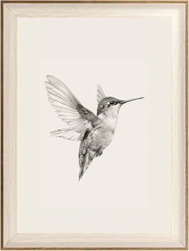 ASTRDECOR Hummingbird Wall Art Prints – Vintage Black and White Bird Sketch Painting Picture, Rustic Neutral Decor Canvas Wall Decor for Modern Home and Bedroom Decoration – Framed 12''x16''