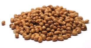 SOYA NUTS - TOASTED NO SALT- 19.954lb