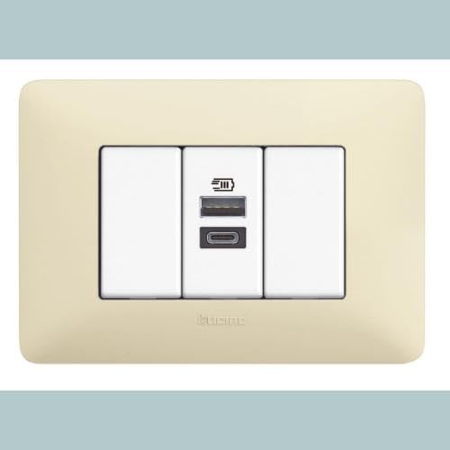 Chargeur USB Bticino AM4191AC Type A+C encastrable Matix 15W blanc - 4