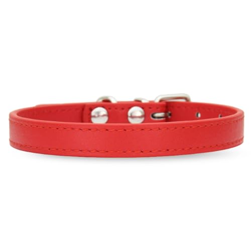 [LaLUCA GOODS]   L    X^_[h PU U[ Vv ^ ^ hbO U Jt bhiȂj M