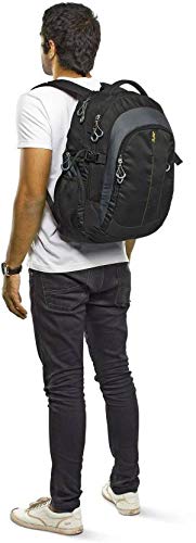 skybag fox business backpack