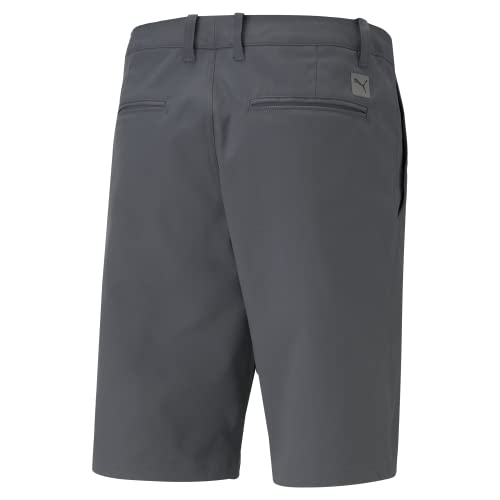 Image of PUMA Dealer Shorts 10