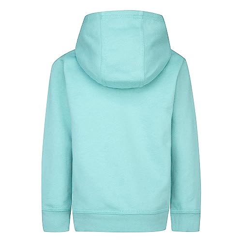 Nike Baby Boy's Club HBR Pullover (Toddler)3