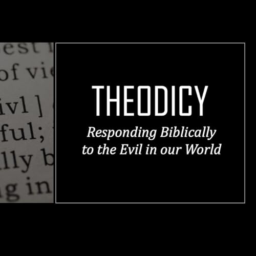 Page de couverture de Theodicy