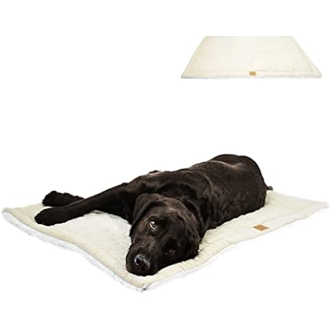 EcoPaws Nachhaltige Premium Hundedecke für Unterwegs Große Hunde NEU Cover