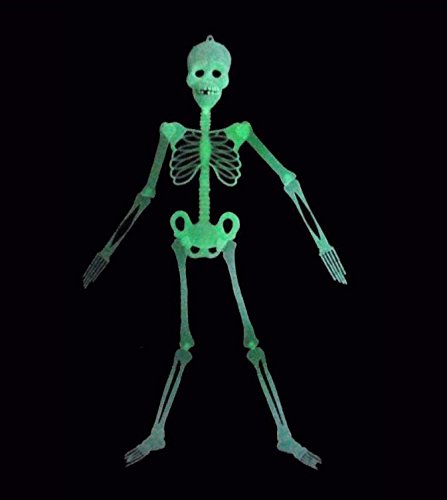 Amazon | Cosplayne 暗闇で光るガイコツ！ 2個セット ハロウィン 肝