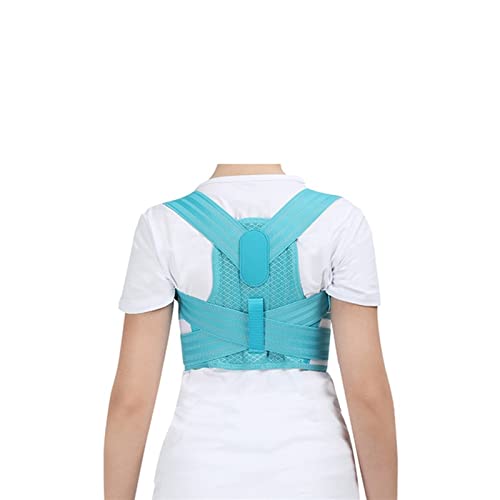 obNRN^[qpobNpRN^[`OȃRZbgVbgT|[g␳q\̎Ҍ㕔xg܂ɂANƃN[[V (Color : Blue Back Support, Size : M) charitable