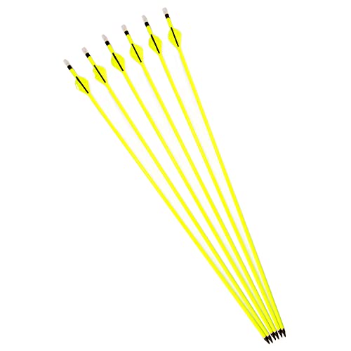 RoofWorld 30" Hybrid Carbonpfeil, Spine 500, grüner Schaft mit Abnehmbarer Spitze für Erwachsene und Jugendliche, für Recurve- und Compoundbögen, Outdoor Jagd, Schießen (6) Cover