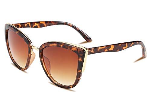 FEISEDY Cateye Sunglasses Women Vintage Cat Eye Female Ladies Sun Glasses B2498