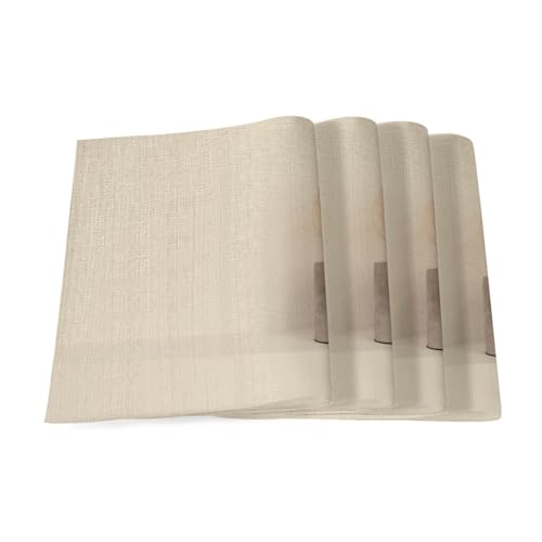 Sets de table en lin grand format 40x28.5 cm linge de table lavable lot de 4 rectangulaire