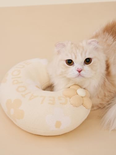 Amazon.co.jp: gelato pique ジェラートピケ: GOODS