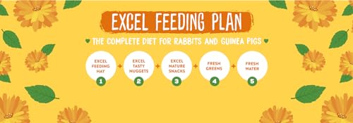 Burgess Excel Forage & Feast Bar With Marigold, Nature Snacks, Delicious Flower Topped Hay Bars 300g. Healthy Treats for Rabbits, Guinea Pigs & Chinchillas (5 Packs of 60g) - Image 6