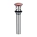 Danze D495008 Metal Grid Strainer Drian with Overflow and Cover, 1 ? -Inch Drain and 1 ?-Inch Tailpiece