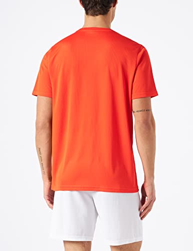 PUMA Performance Cat Tee (s), Pomodoro ciliegio, M...