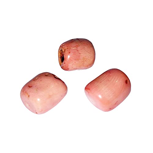 Pierres roulées Corail rose 1kg pour lithothérapie et décoration naturelle