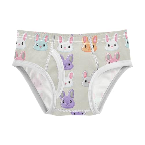Cute Bunny Rabbit Toddler Boy's Underwear 2T 202c1573