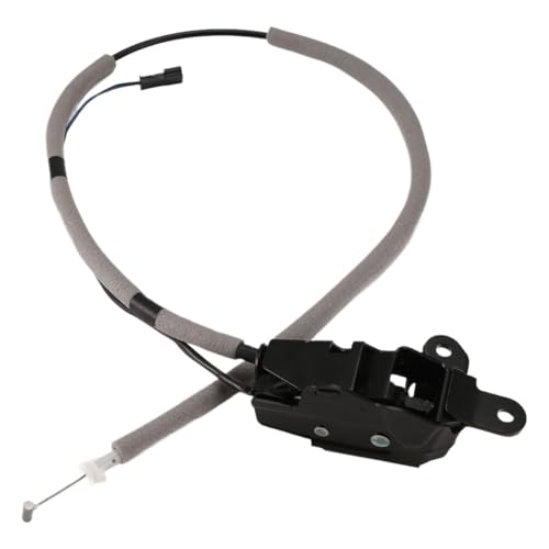 Verrou de hayon premium pour BMW X5 E70 mécanisme durable 51247183196