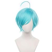 Amazon.co.jp: コスプレウィッグ あんさんぶるスターズ!/!! 花群冬芽