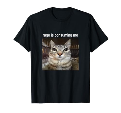 Rage is Consuming Me Silly Staring Cat Meme T-Shirt