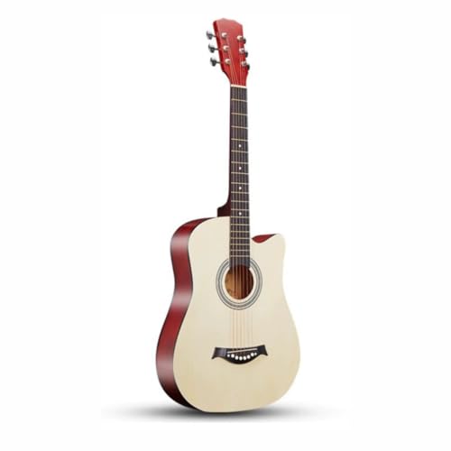 TAYOA AR[XeBbNM ^[ S w lp  ARMM^ [ Zbg 38/40/41C` K (38C`,i`)